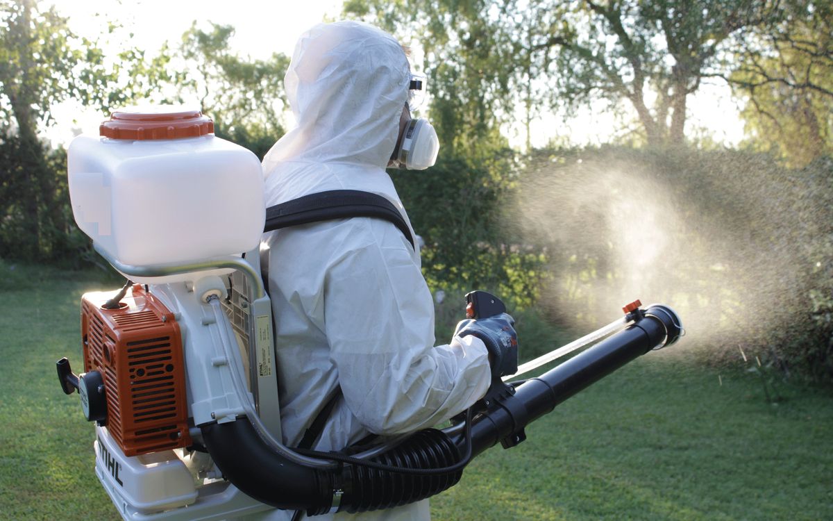 Tatvan böcek ilaçlama uygulama sonrası